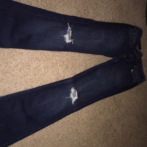 Hollister Jeans BOOTCUT